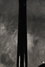 Rickenbacker 660/12 TP, Jetglo: Neck - Rear