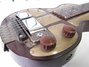 Rickenbacker BD/6 LapSteel, Brown: Close up - Free