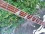 Rickenbacker 4001/4 BT, White: Neck - Front