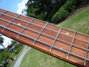 Rickenbacker 4004/4 Laredo, Midnightblue: Neck - Front
