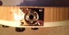 Rickenbacker 660/6 , Mapleglo: Close up - Free