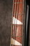 Rickenbacker 4001/4 Refin, White: Neck - Front