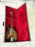 Rickenbacker 325/6 Capri, Two tone brown: Close up - Free2