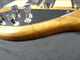 Rickenbacker 650/6 Dakota, Natural Walnut: Free image