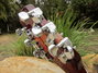 Rickenbacker 360/12 , Fireglo: Headstock - Rear
