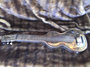 Rickenbacker NS 100/6 LapSteel, Silver: Close up - Free2