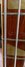 Rickenbacker 4001/4 Refin, Mapleglo: Neck - Front