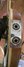 Rickenbacker 4001/4 Refin, Mapleglo: Close up - Free