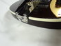 Rickenbacker 660/6 75th Ann, DCMetallic: Full Instrument - Rear