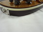 Rickenbacker 660/6 75th Ann, DCMetallic: Close up - Free