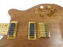 Rickenbacker 380/6 Laguna, Natural Walnut: Free image