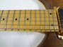 Rickenbacker 380/6 Laguna, Natural Walnut: Neck - Front