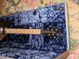Rickenbacker 650/6 VP, Jetglo: Full Instrument - Front