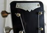 Rickenbacker B/6 LapSteel, Black: Free image