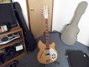 Rickenbacker 360/12 , Mapleglo: Free image