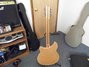 Rickenbacker 360/12 , Mapleglo: Full Instrument - Rear