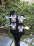 Rickenbacker 4003/4 S, Jetglo: Headstock - Rear
