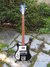 Rickenbacker 4003/4 S, Jetglo: Full Instrument - Front