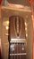 Rickenbacker BD/6 LapSteel, Copper: Headstock