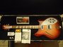 Rickenbacker 360/6 , Fireglo: Free image2