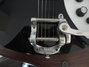 Rickenbacker 330/6 Mod, Jetglo: Close up - Free2