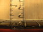 Rickenbacker 425/6 , Fireglo: Close up - Free2