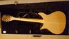 Rickenbacker 350/12 V63, Mapleglo: Full Instrument - Rear