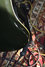 Rickenbacker 481/6 Slant Fret, Jetglo: Full Instrument - Rear