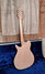 Rickenbacker 600/6 Combo, Blonde: Full Instrument - Rear