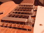 Rickenbacker 370/12 , Mapleglo: Close up - Free2