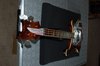 Rickenbacker 4001/4 , Autumnglo: Neck - Front