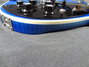 Rickenbacker 660/12 BT, Blueburst: Free image2
