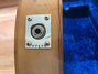 Rickenbacker 345/6 F, Natural: Close up - Free