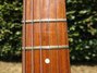 Rickenbacker 1996/6 RoMo, Fireglo: Neck - Front
