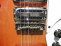Rickenbacker 1996/6 RoMo, Fireglo: Close up - Free