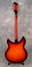 Rickenbacker 330/6 f hole, Tobaccoglo: Full Instrument - Rear
