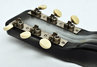 Rickenbacker 59/6 Laguna, Gray Sunburst: Headstock - Rear