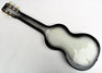 Rickenbacker 59/6 Laguna, Gray Sunburst: Full Instrument - Rear