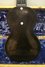 Dec 1945 Rickenbacker B Post War/6 LapSteel, Black: Body - Rear