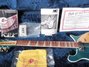 Rickenbacker 660/12 , Turquoise: Close up - Free2