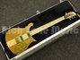 Rickenbacker 650/6 Sierra, Natural Walnut: Full Instrument - Front