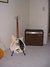 Rickenbacker 360/6 BT, White: Full Instrument - Front