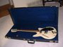 Rickenbacker 360/6 BT, White: Neck - Front