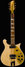 Rickenbacker 660/6 , Mapleglo: Full Instrument - Front