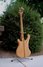 Rickenbacker 4001/4 , Mapleglo: Full Instrument - Rear