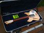 Rickenbacker 340/6 , Mapleglo: Close up - Free