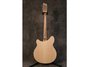 Rickenbacker 360/12 , Mapleglo: Full Instrument - Rear