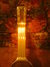 Rickenbacker NS 100/6 LapSteel, Silver: Neck - Rear