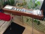 Rickenbacker Jerry Byrd/10 Console Steel, Blonde: Full Instrument - Front