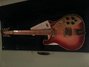 Rickenbacker 660/12 TP, Fireglo: Neck - Front